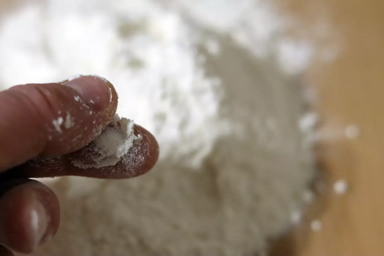 Les particules microscopiques de la terre de diatomée